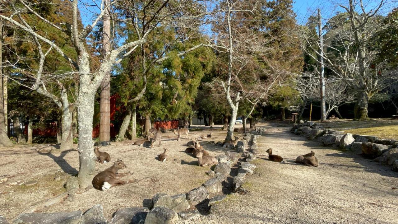 Miyajima Morinoyado Hotel Hatsukaichi Eksteriør billede