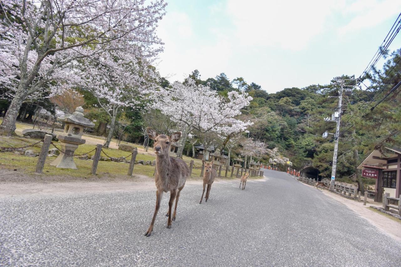Miyajima Morinoyado Hotel Hatsukaichi Eksteriør billede